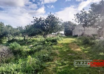 Agricultural land CONTRADA GURGAZZI, Scicli - photo 7