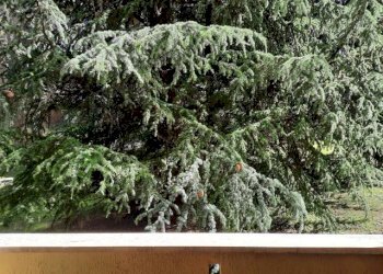 ambiente - Appartamento via Ghisolfa, 26, Rho - foto 14