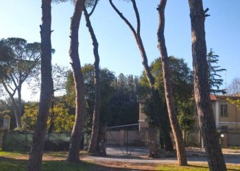 Giardino - Villa via di Tor Cervara, 119, Roma - foto 20