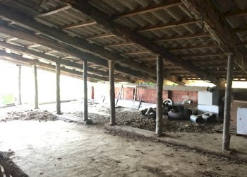 IMG_5310.JPG - Porzione di casa Spigno Monferrato - foto 16