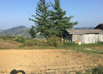 IMG_5317.JPG - Porzione di casa Spigno Monferrato - foto 22