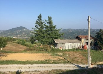 IMG_5324.JPG - Porzione di casa Spigno Monferrato - foto 29