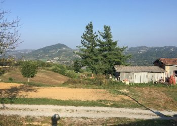 IMG_5325.JPG - Porzione di casa Spigno Monferrato - foto 30