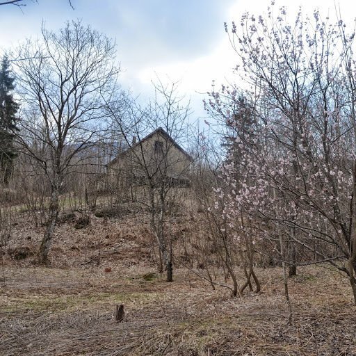 foto 1.jpg - Rustico Via Dano, Sassello - foto 3