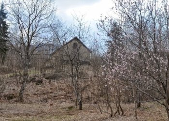 foto 1.jpg - Rustico Via Dano, Sassello - foto 3