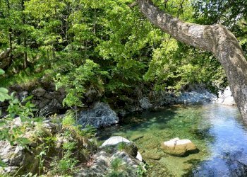 foto 28.jpg - Rustico Via Dano, Sassello - foto 27