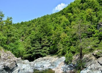 foto 29.jpg - Rustico Via Dano, Sassello - foto 28