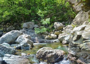 foto 30.jpg - Rustico Via Dano, Sassello - foto 29