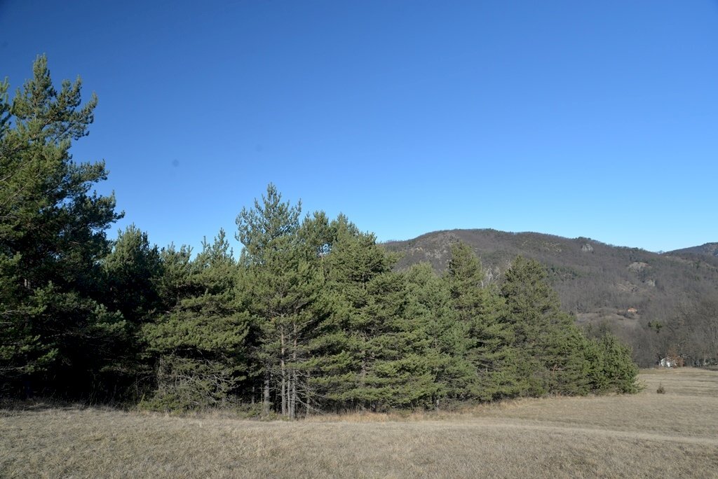 DSC_3986.JPG - Building land Sassello - photo 3