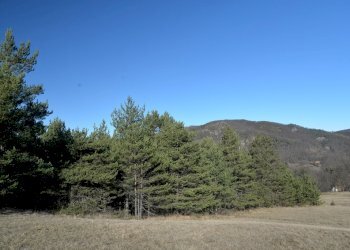 DSC_3986.JPG - Terreno edificabile Sassello - foto 3