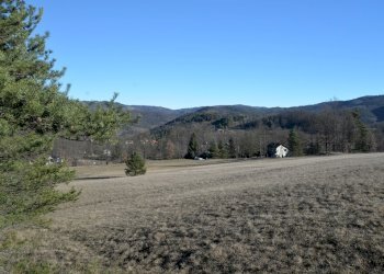 DSC_3987.JPG - Terreno edificabile Sassello - foto 4