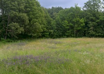 DSC_4202.JPG - Terreno edificabile Sassello - foto 7
