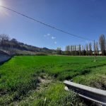 Negozio Canelli - foto 2