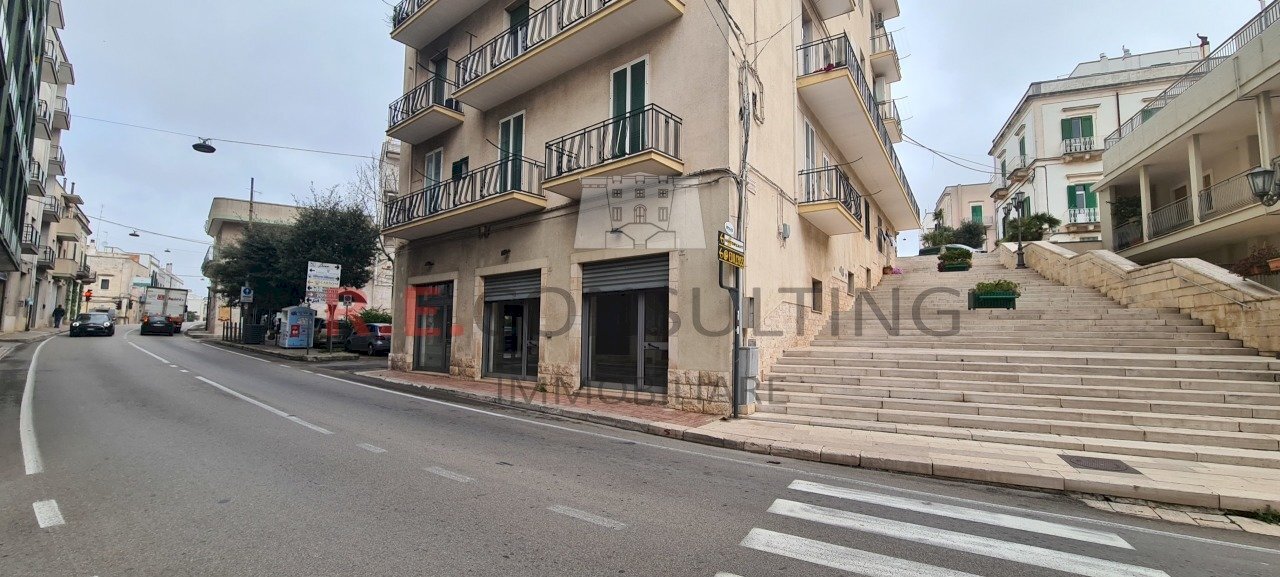 20240327_112427.jpg - Locale Commerciale SS172 73, Locorotondo - foto 2