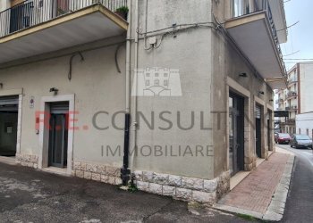 20240327_112520.jpg - Locale Commerciale SS172 73, Locorotondo - foto 3