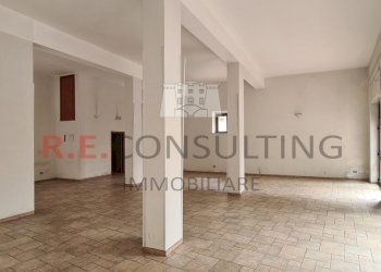 20240327_112626.jpg - Locale Commerciale SS172 73, Locorotondo - foto 5