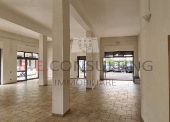 20240327_112736.jpg - Locale Commerciale SS172 73, Locorotondo - foto 8