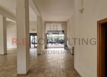 20240327_112741.jpg - Locale Commerciale SS172 73, Locorotondo - foto 9