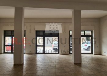 20240327_112758.jpg - Locale Commerciale SS172 73, Locorotondo - foto 11