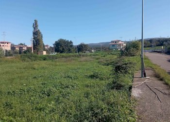 Terreno edificabile -, Vetralla - foto 4