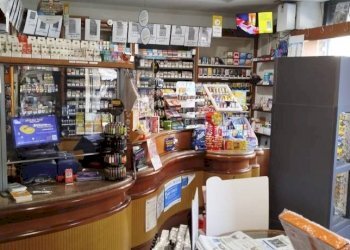 Interno non residenziale - Bar - Tobacco - Ricevitoria Chieri - photo 12