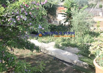 GIARDINO - Villa Via Beato Federico Campisano 20, Siracusa - foto 4