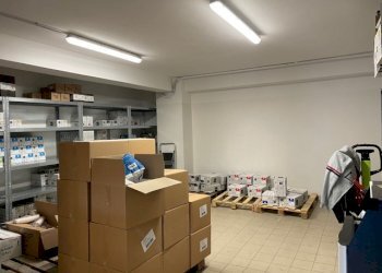 Negozio Pianoro - foto 20