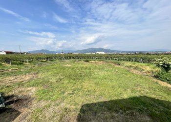 Casa indipendente Via Pomarolo, 107, Verzuolo - foto 5