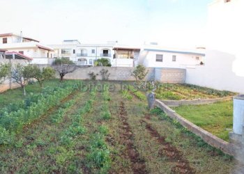 Viste - Terreno edificabile Patù - foto 1