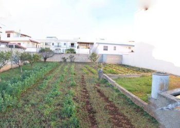 Viste - Terreno edificabile Patù - foto 5