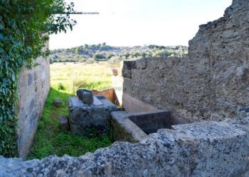 Terreno - Rustic Patù - photo 9