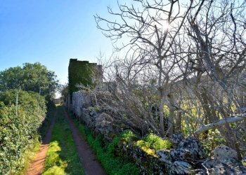 Terreno - Rustic Patù - photo 11