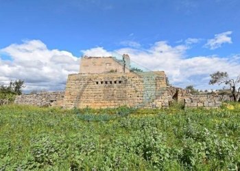 Terreno - Rustico Patù - foto 13