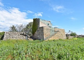 Terreno - Rustico Patù - foto 14