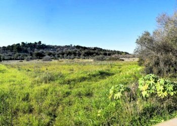 Terreno - Rustic Patù - photo 15