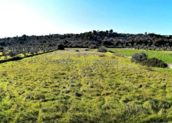 Terreno - Rustico Patù - foto 17