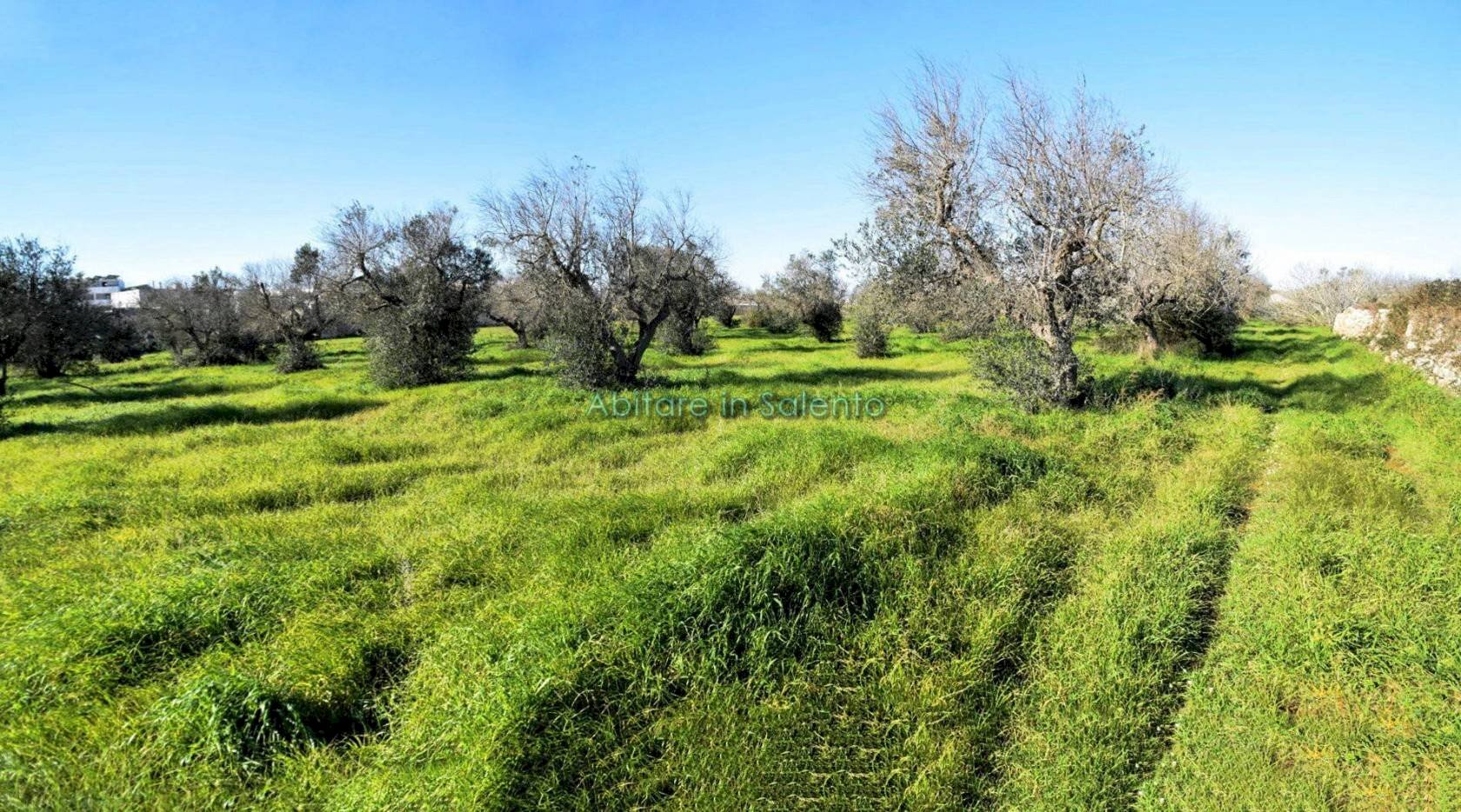 Terreno agricolo via Egnazia, Castrignano del Capo - foto 1