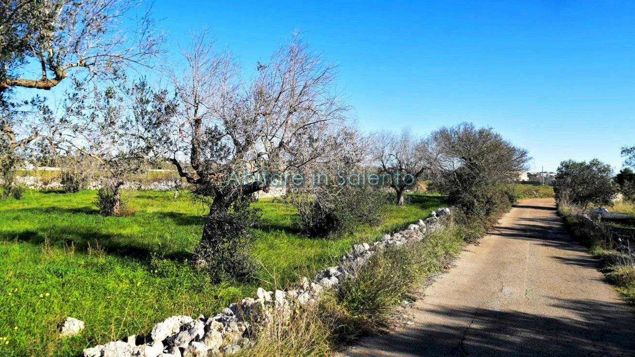 Terreno agricolo via Egnazia, Castrignano del Capo - foto 2