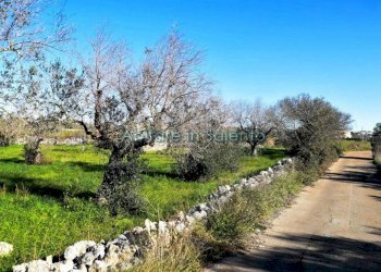 Terreno agricolo via Egnazia, Castrignano del Capo - foto 2