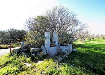 Terreno agricolo via Egnazia, Castrignano del Capo - foto 3