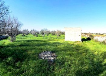 Terreno agricolo via Egnazia, Castrignano del Capo - foto 4