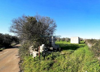 Terreno agricolo via Egnazia, Castrignano del Capo - foto 6