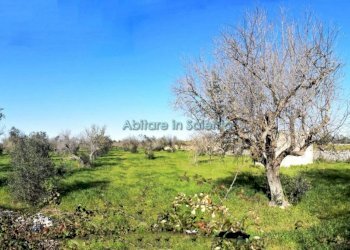 Terreno agricolo via Egnazia, Castrignano del Capo - foto 13