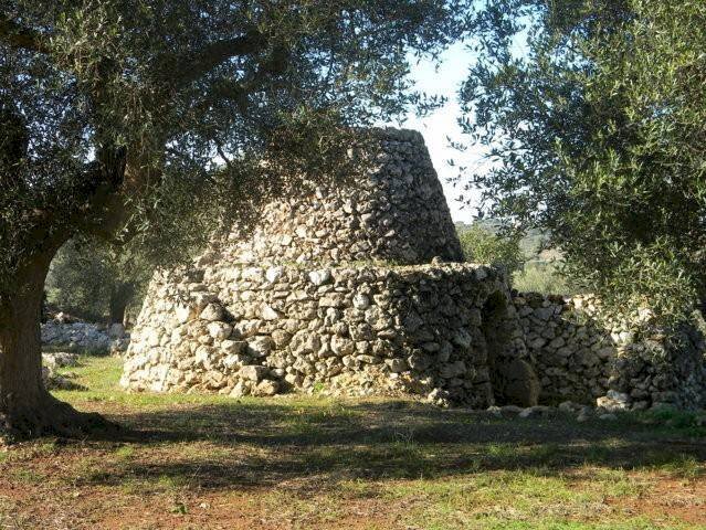 Paiara - Agricultural land Salve - photo 2