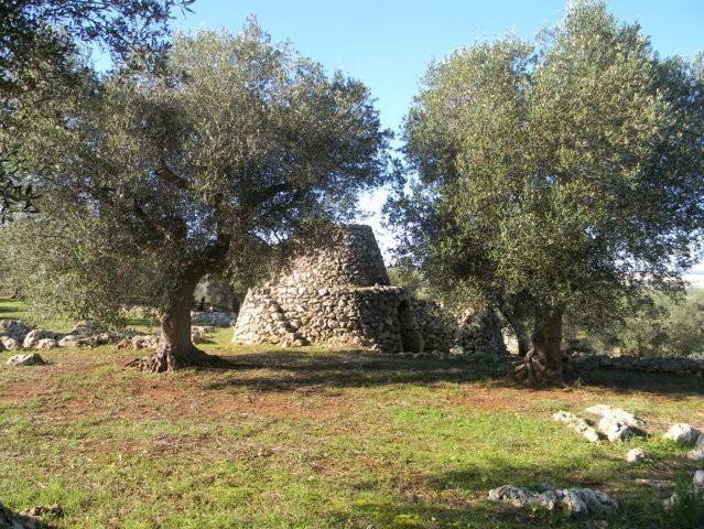 Paiara - Agricultural land Salve - photo 3
