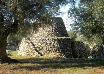 Paiara - Agricultural land Salve - photo 2