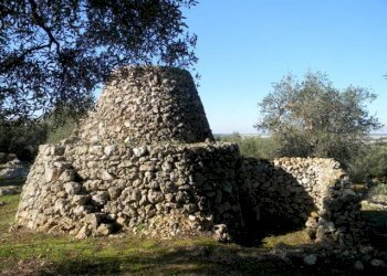 Paiara - Agricultural land Salve - photo 4