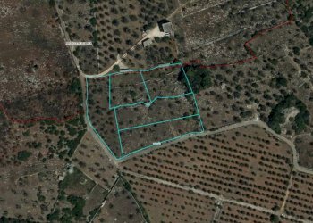 Aerofotogrammetria - Agricultural land Salve - photo 11