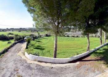 Strada di Accesso - Casa indipendente Castrignano del Capo - foto 23