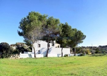 Terreno - Independent house Castrignano del Capo - photo 4